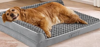 Large Orthopedic Dog Bed