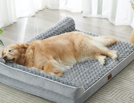 BFPETHOME Orthopedic Dog Bed